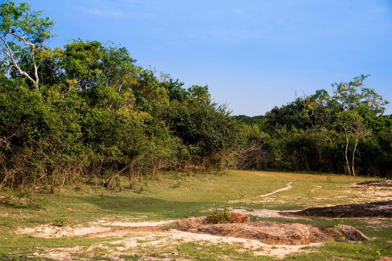 Hotel Wild Trails Yala By Suri Exteriér fotografie